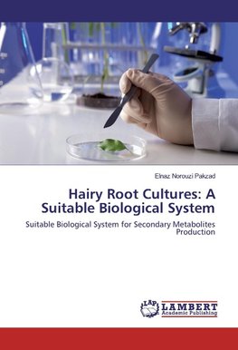 Hairy Root Cultures: A Suitable Biological System