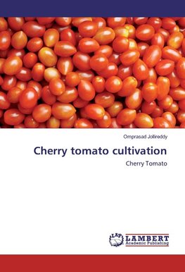 Cherry tomato cultivation