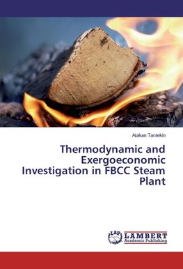 Thermodynamic and Exergoeconomic Investigation in FBCC Steam Plant