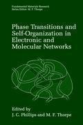 Phase Transitions and Self-Organization in Electronic and Molecular Networks