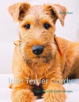 Irish Terrier Gordy