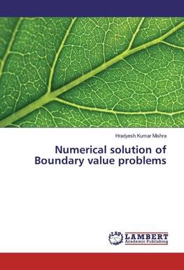 Numerical solution of Boundary value problems