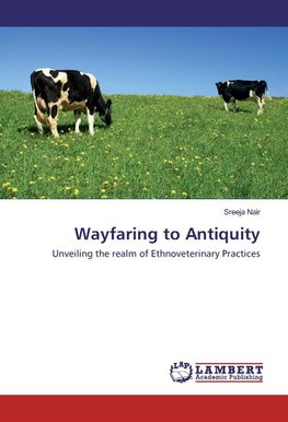 Wayfaring to Antiquity