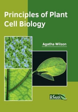 Principles of Plant Cell Biology