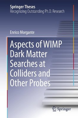 Aspects of WIMP Dark Matter Searches at Colliders and Other Probes