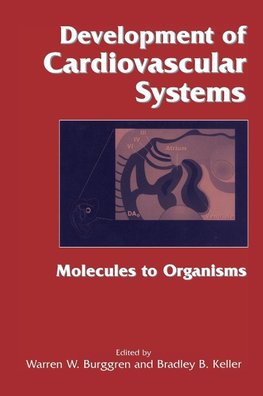 Development of Cardiovascular Systems