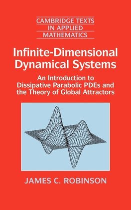 Infinite-Dimensional Dynamical Systems