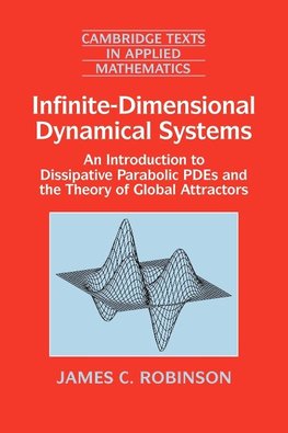 Infinite-Dimensional Dynamical Systems