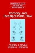 Vorticity and Incompressible Flow