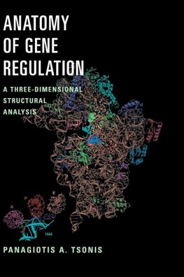 Anatomy of Gene Regulation