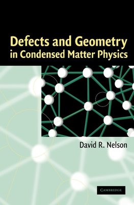 Defects and Geometry in Condensed Matter Physics