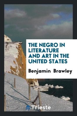 The Negro in literature and art in the United States