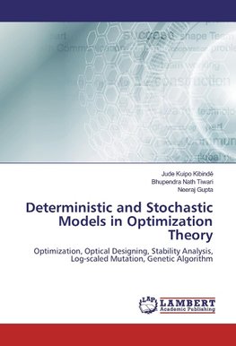 Deterministic and Stochastic Models in Optimization Theory