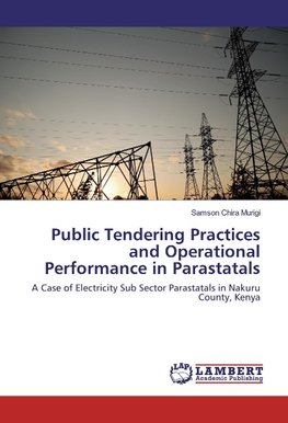 Public Tendering Practices and Operational Performance in Parastatals