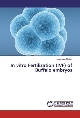 In vitro Fertilization (IVF) of Buffalo embryos