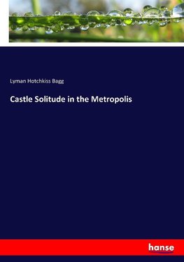 Castle Solitude in the Metropolis