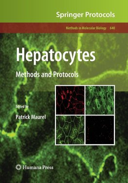 Hepatocytes