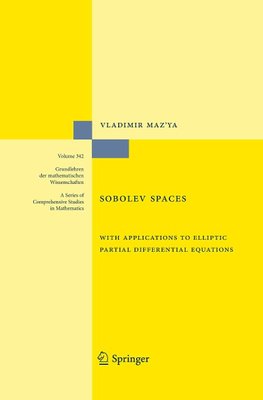 Sobolev Spaces