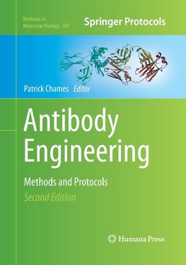 Antibody Engineering