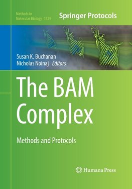 The BAM Complex