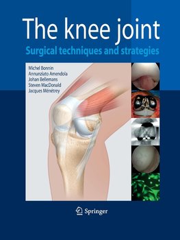 The Knee Joint