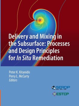 Delivery and Mixing in the Subsurface