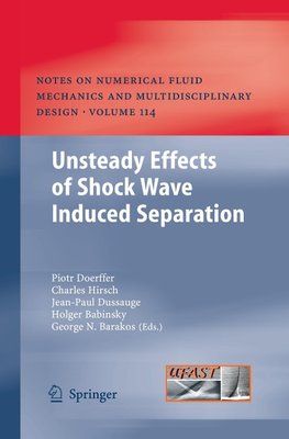 Unsteady Effects of Shock Wave induced Separation