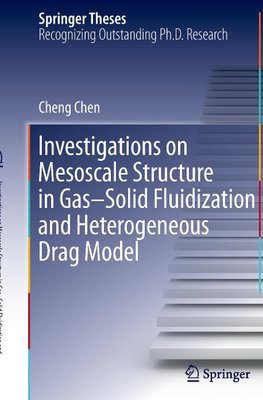 Investigations on Mesoscale Structure in Gas-Solid Fluidization and Heterogeneous Drag Model