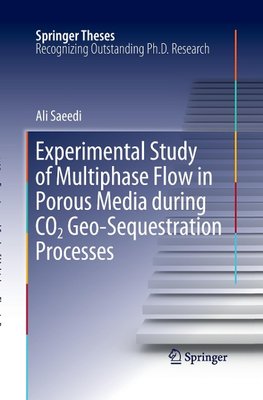 Experimental Study of Multiphase Flow in Porous Media during CO2 Geo-Sequestration Processes