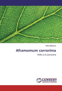 Aframomum corrorima