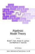 Algebraic Model Theory