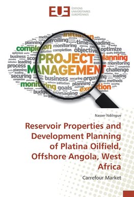 Reservoir Properties and Development Planning of Platina Oilfield, Offshore Angola, West Africa