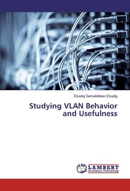 Studying VLAN Behavior and Usefulness