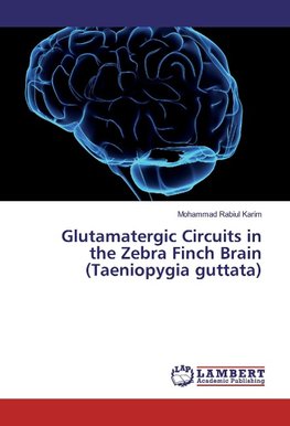 Glutamatergic Circuits in the Zebra Finch Brain (Taeniopygia guttata)