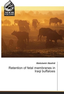 Retention of fetal membranes in Iraqi buffaloes