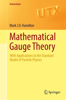 Mathematical Gauge Theory