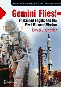 Gemini Flies