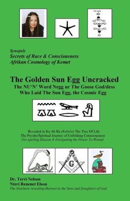 The Golden Sun Egg Uncracked  The NU'N' Word Negg ur