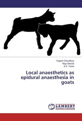 Local anaesthetics as epidural anaesthesia in goats