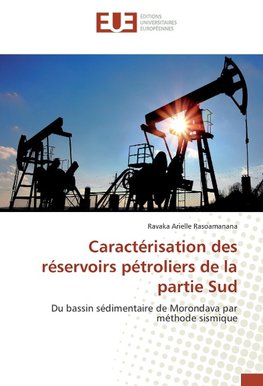 Caractérisation des réservoirs pétroliers de la partie Sud