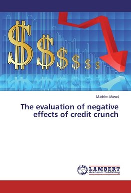 The evaluation of negative effects of credit crunch