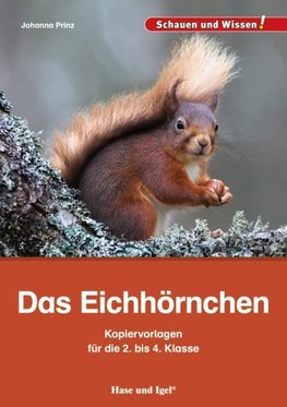 Das Eichhörnchen - Kopiervorlagen für die 2. bis 4. Klasse