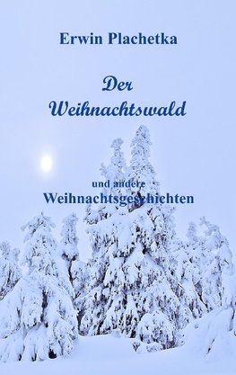 Der Weihnachtswald