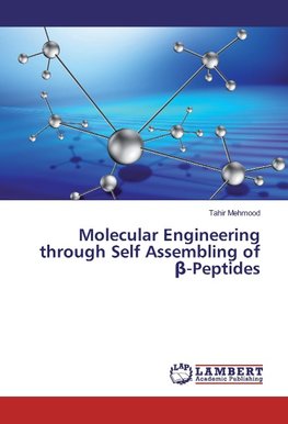 Molecular Engineering through Self Assembling of ß-Peptides