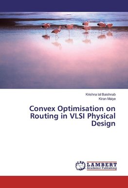 Convex Optimisation on Routing in VLSI Physical Design