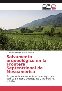 Salvamento arqueológico en la Frontera Septentrional de Mesoamérica