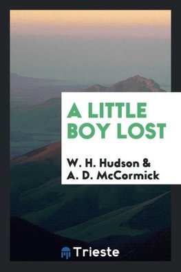 A Little Boy Lost