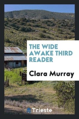 The Wide Awake Third Reader