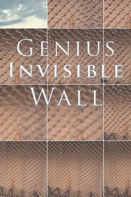 Genius Invisible Wall