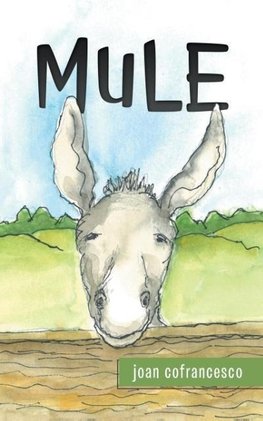 Mule